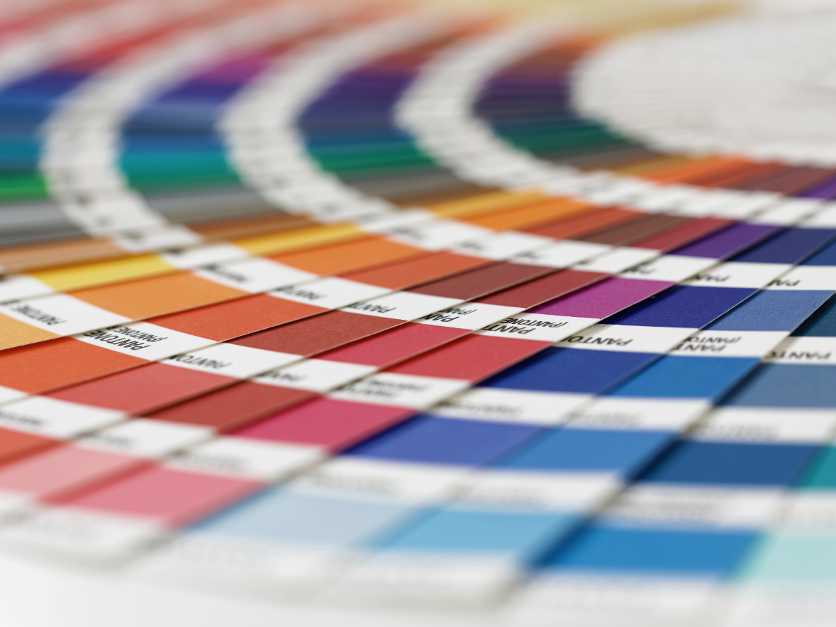 Colour swatches arranged in a semi-circle.